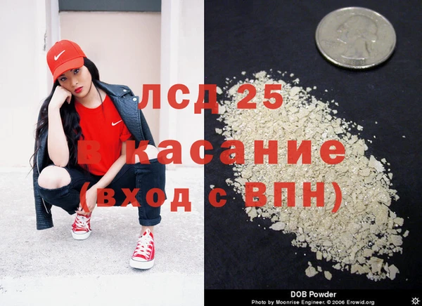 гидропоника Алзамай