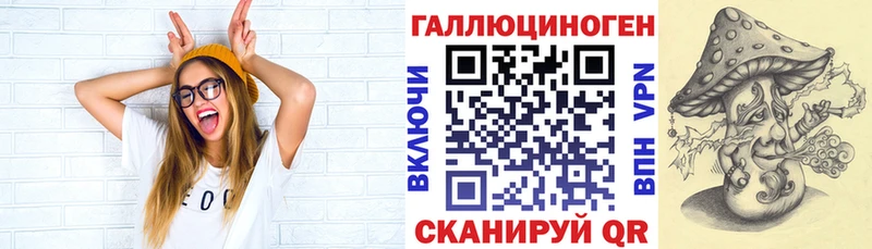 закладки  Качканар  Галлюциногенные грибы мицелий 
