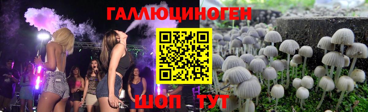 Галлюциногенные грибы MAGIC MUSHROOMS  Вход с VPN  Качканар  Галлюциногенные грибы Cubensis 
